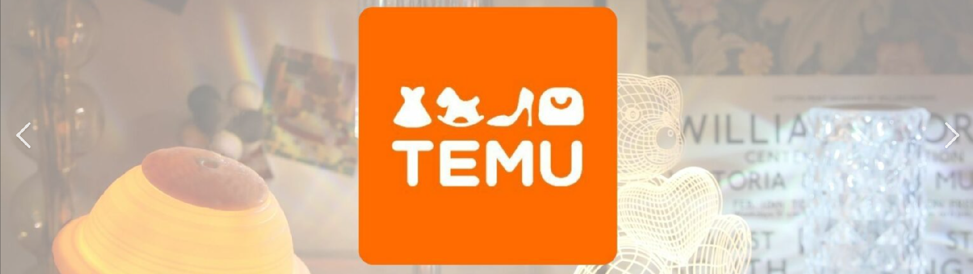 temu-横幅.png