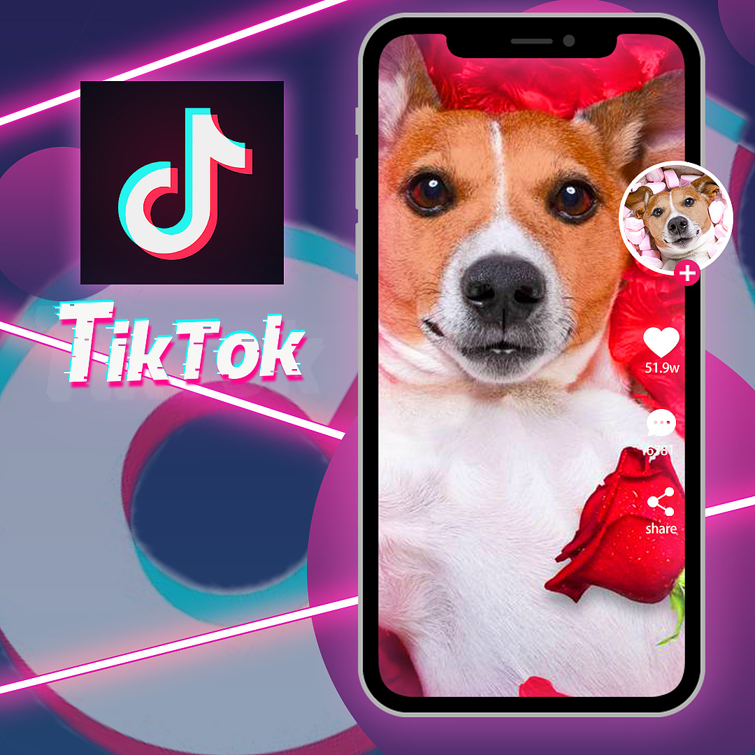TikTok推出搜索广告切换功能 精准锁定目标消费者