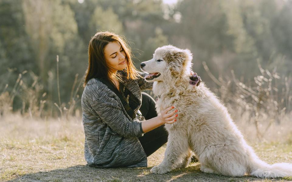 2023年Q2营收超预期!美国宠物电商Chewy将进军加拿大!