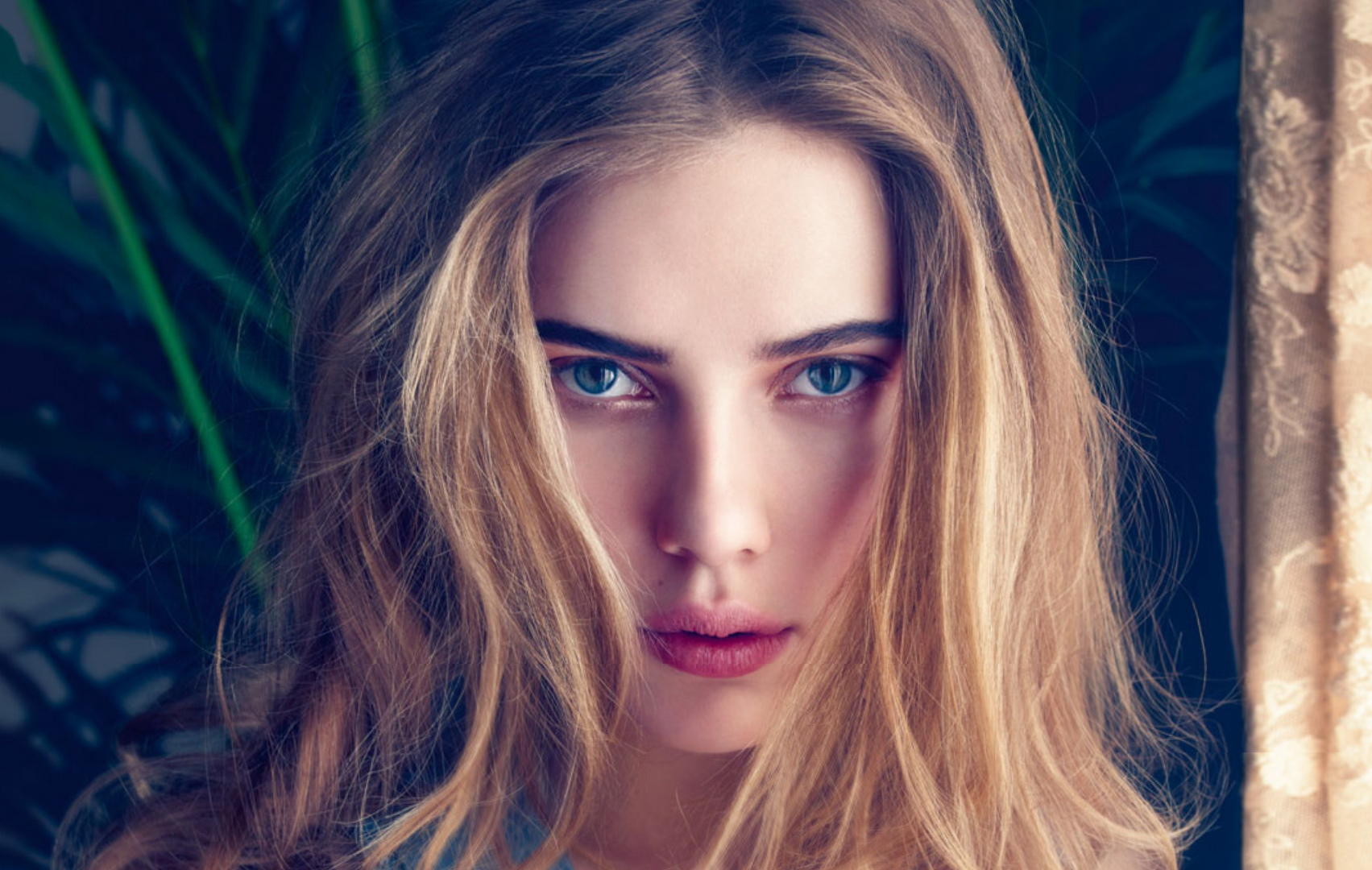 TikTok推出搜索广告功能并禁止达人多平台联播