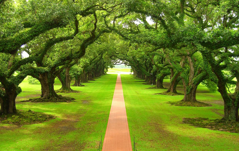 国际贸易体系解析:了解全球贸易体系及其发展趋势!