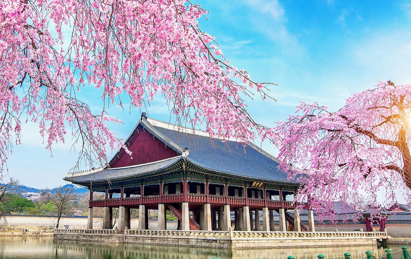 网购需求持续回暖!韩国7月电商交易额同比增长9.1%!