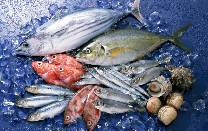 俄罗斯宣布暂停进口日本海产品