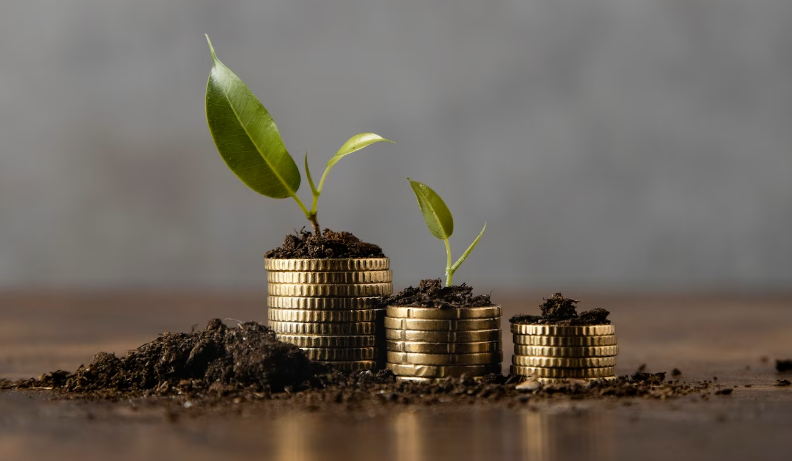 中国电商海外发展势头强劲