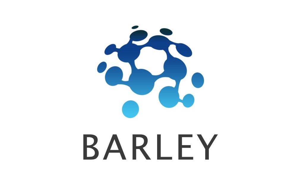 barley柏励科技公司简介