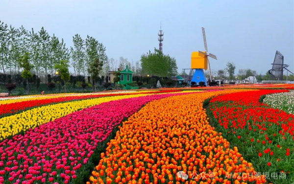 2026 年起，中国跨境包裹寄荷兰要多花 6 欧！