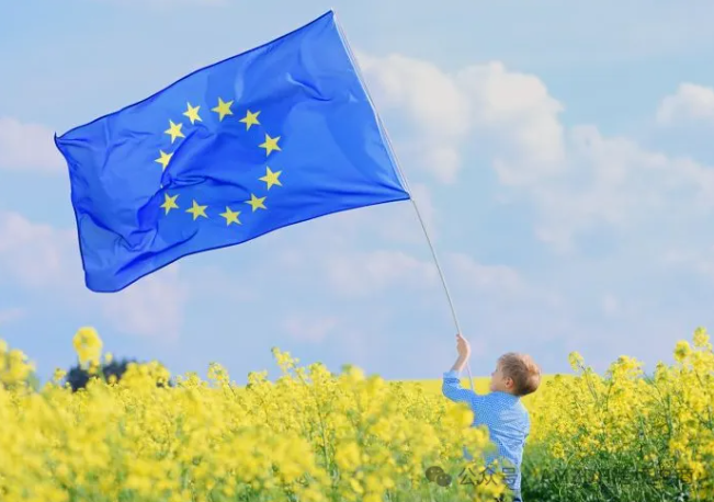 重磅！欧盟新规落地：Temu、Shein 迎 “征税 + 追责” 双重监管